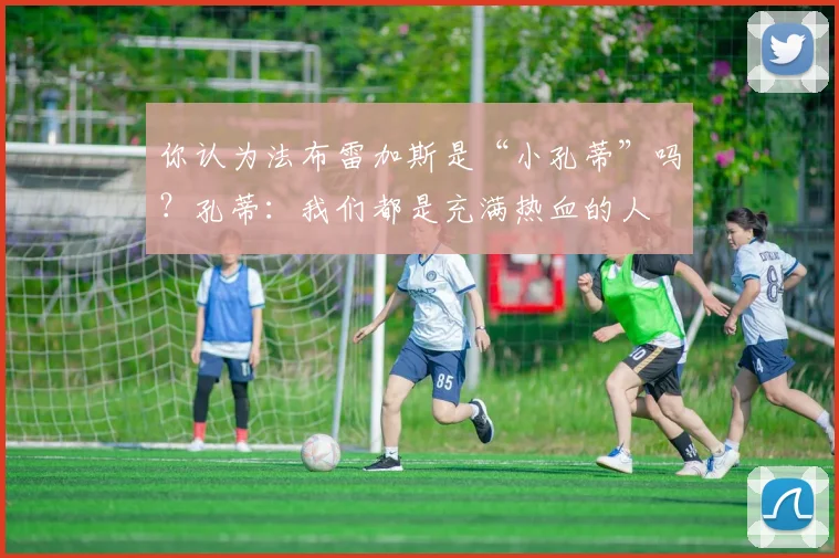 你认为法布雷加斯是“小孔蒂”吗？孔蒂：我们都是充满热血的人